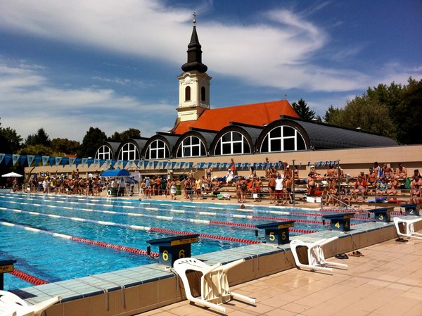 Sportivi de la Clubul de Inot Masters Timisoara